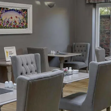 Отель Hotel Clementine