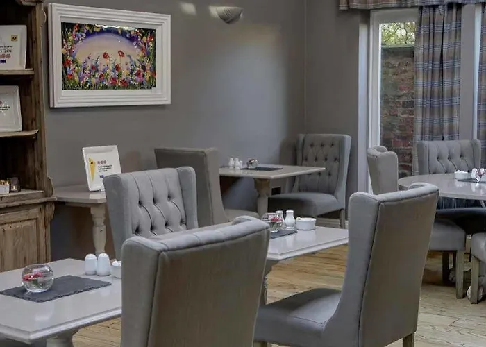 Hotel Hotel Clementine